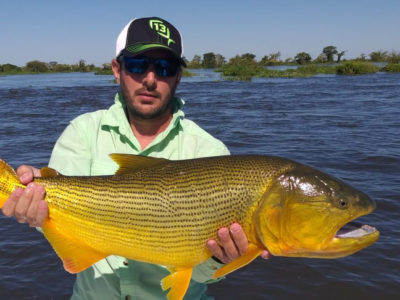 cheval-blanc-pesca-011