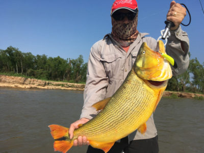 cheval-blanc-pesca-014